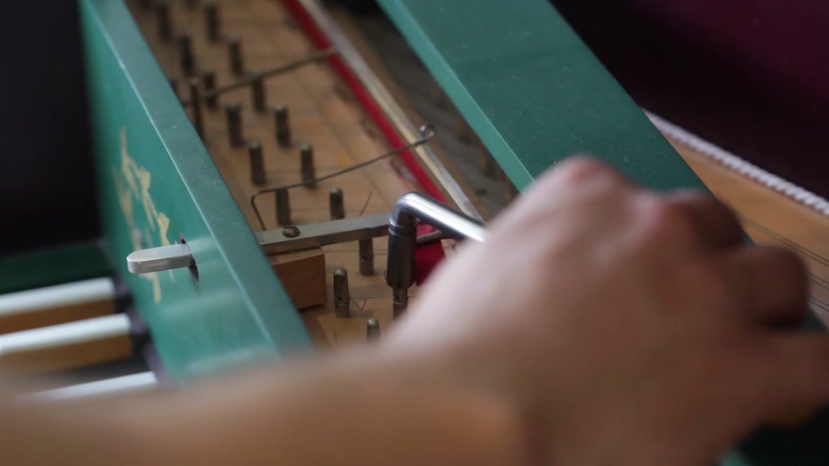 Well Tempered screen 5